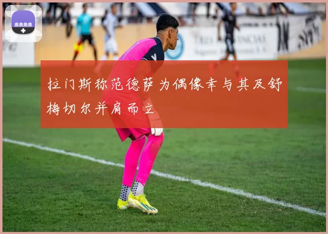拉门斯称范德萨为偶像幸与其及舒梅切尔并肩而立