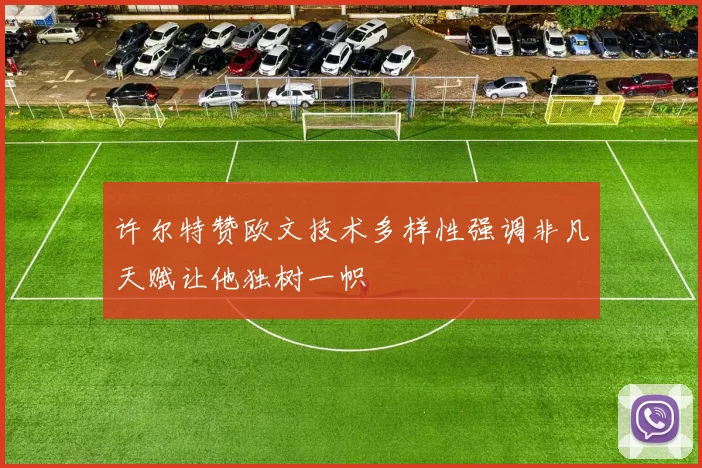 许尔特赞欧文技术多样性强调非凡天赋让他独树一帜