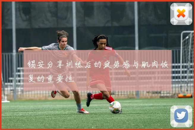锡安分享训练后的疲劳感与肌肉恢复的重要性